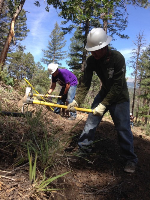 Trail-Building-Training