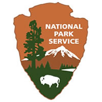 NPS